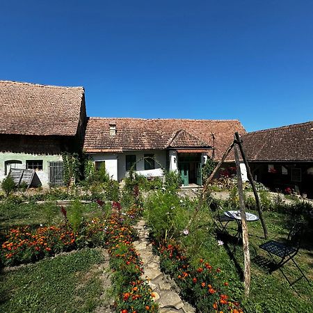 Saschiz 175 GuestHouse Exterior foto
