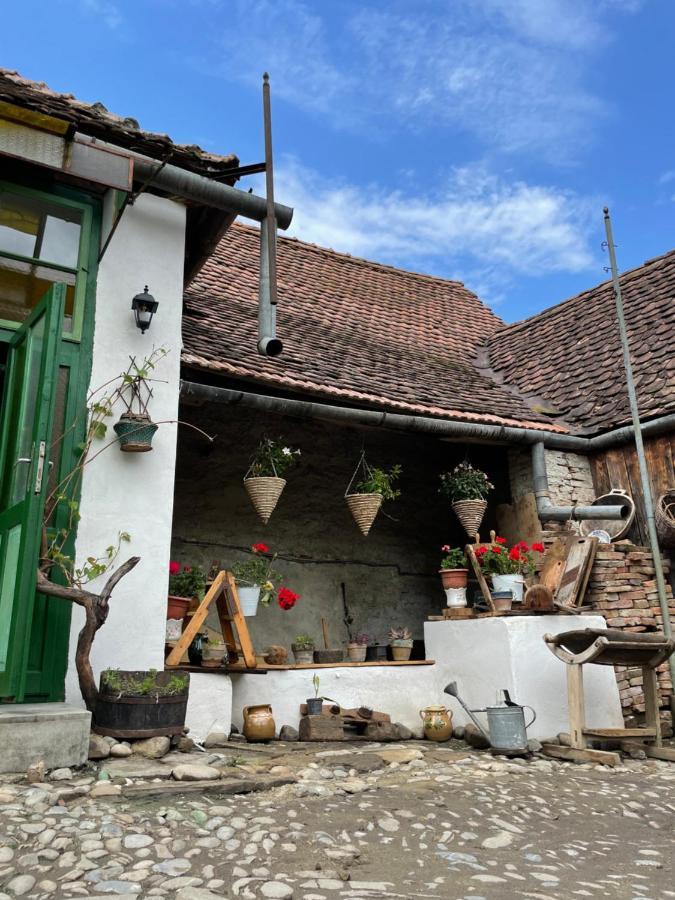 Saschiz 175 GuestHouse Exterior foto